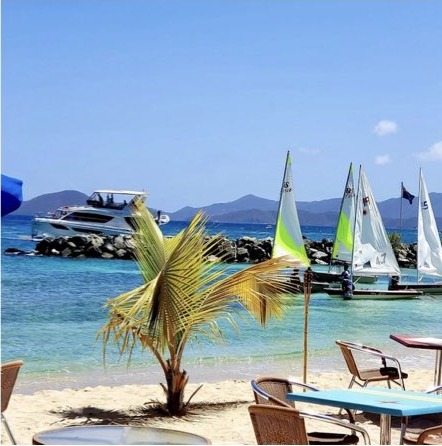 Sailboats and palm trees on a white sand beach